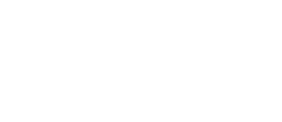 Rise Online logo
